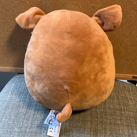 Squishmallow 8” - Andres the Sheltie - Rare - Picture 2 of 5